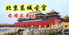 骚骚情淫荡影院中国北京-东城古宫旅游风景区